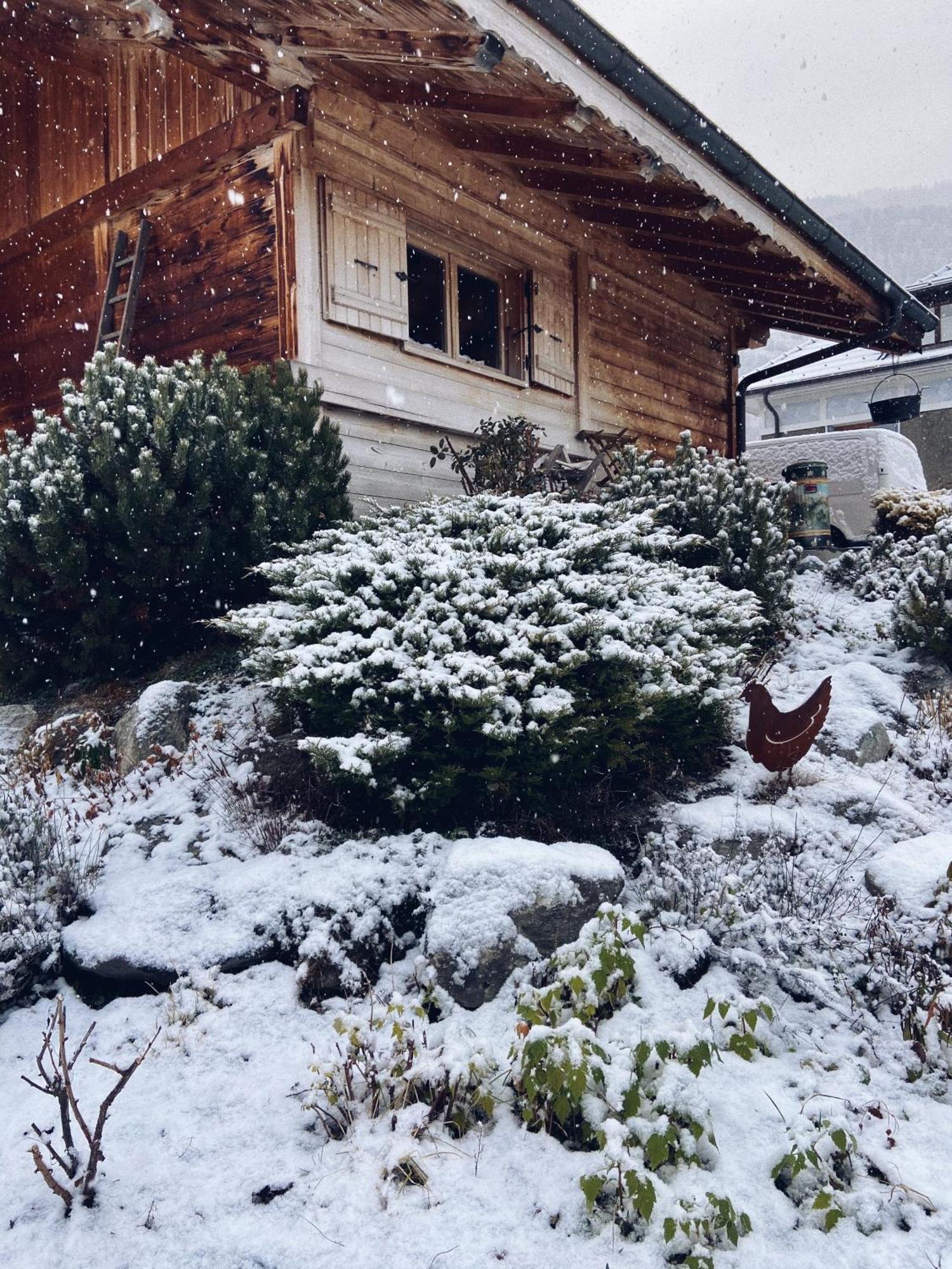 Grand Chalet A La Montagne Bourg-Saint-Maurice Buitenkant foto